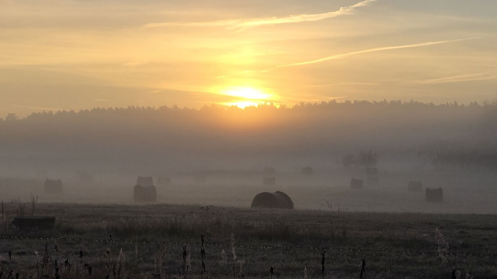 Misty sunrise over a field near Berlin